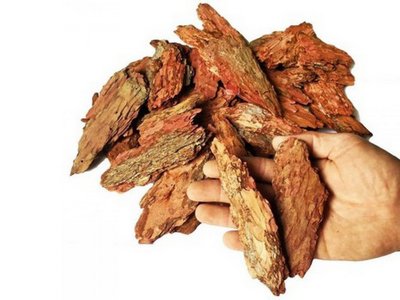 Кора сибирской лиственницы большая 10 см