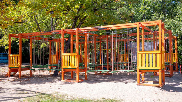 ЧУ ООД «Мир Детства», август 2025, с. Воронежское-2 