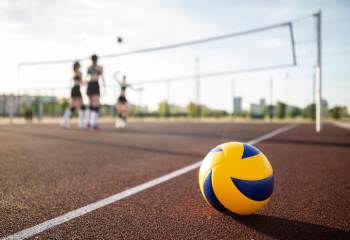 Для волейбольных площадок