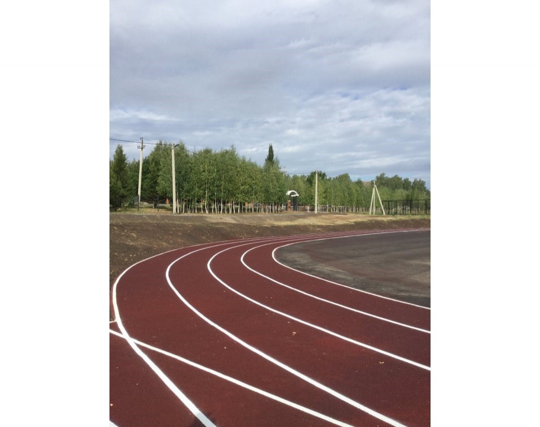 Бесшовное резиновое покрытие TORUDA Eco Sport Standart с укладкой - вид 2